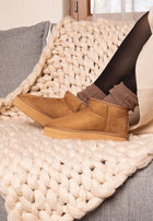 Camel